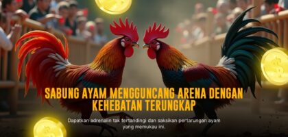 Mengenal Jenis dan Odds Sabung Ayam di SV388