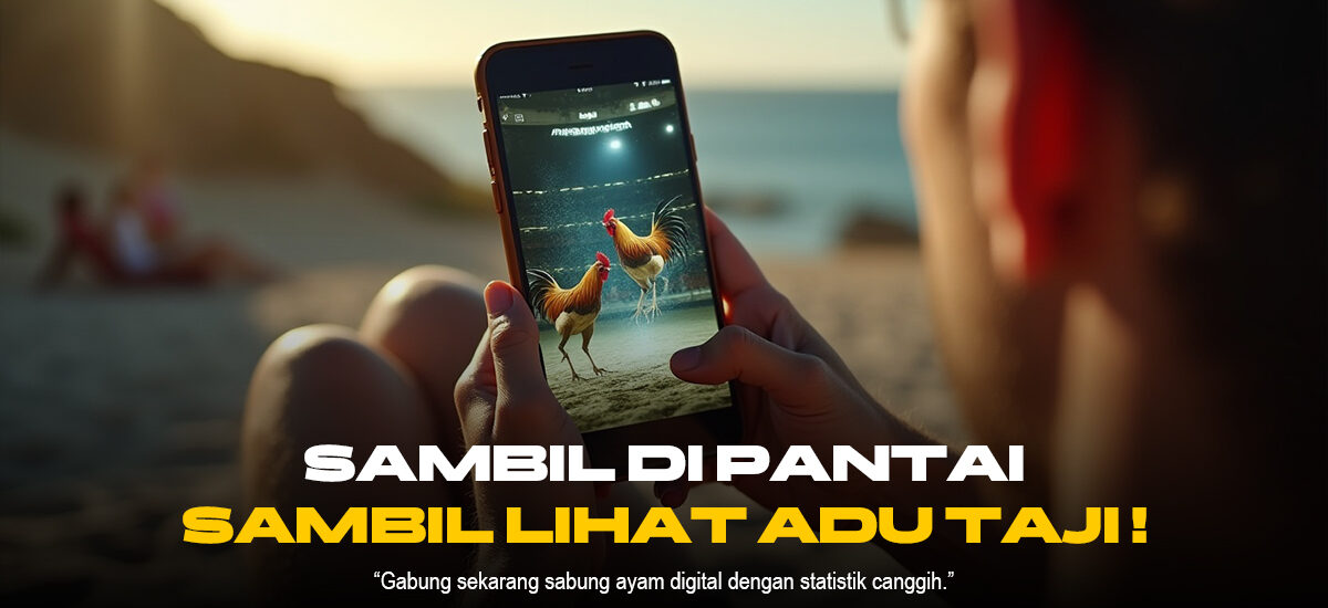 Sabung Ayam: Mengungkap Dinamika dan Kontroversi di Balik Tradisi Adu Jago