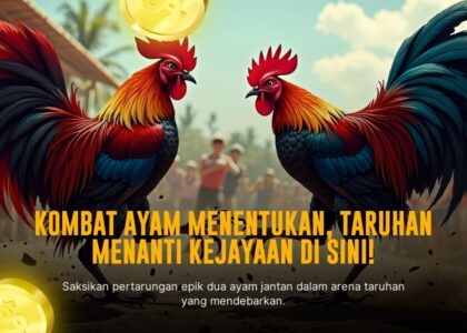 Menguak Rahasia Ayam Aduan Bangkok di SV388