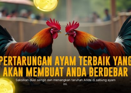 Menjadi Juara! Panduan Lengkap Sabung Ayam SV388