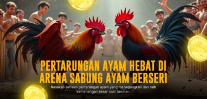 Membedah SV388: Raja Provider Sabung Ayam Online